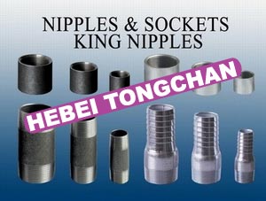 Steel Nipples and Soclets